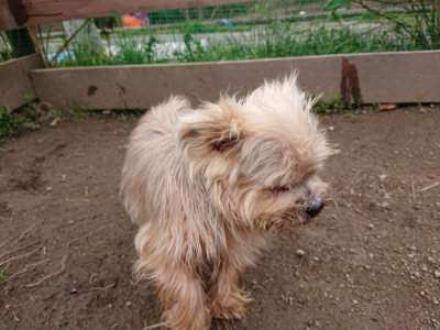 f:id:roukenhome-ann:20190323202246j:plain f:id:roukenhome-ann:20190323202246j:plain