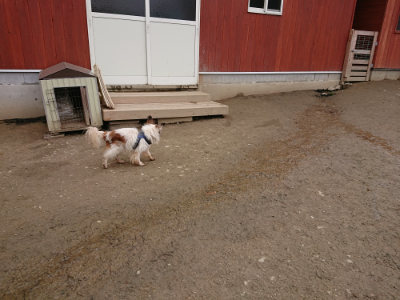 f:id:roukenhome-ann:20190323202334j:plain f:id:roukenhome-ann:20190323202334j:plain