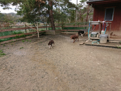 f:id:roukenhome-ann:20190323202341j:plain f:id:roukenhome-ann:20190323202341j:plain