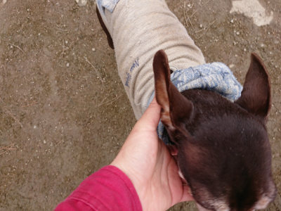 f:id:roukenhome-ann:20190324051750j:plain f:id:roukenhome-ann:20190324051750j:plain