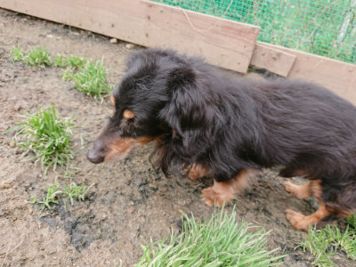 f:id:roukenhome-ann:20190324051901j:plain f:id:roukenhome-ann:20190324051901j:plain