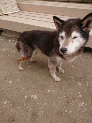 f:id:roukenhome-ann:20190324052020j:plain f:id:roukenhome-ann:20190324052020j:plain