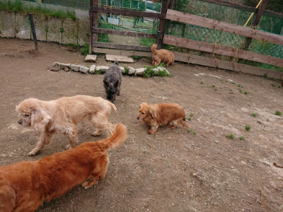 f:id:roukenhome-ann:20190324052121j:plain f:id:roukenhome-ann:20190324052121j:plain