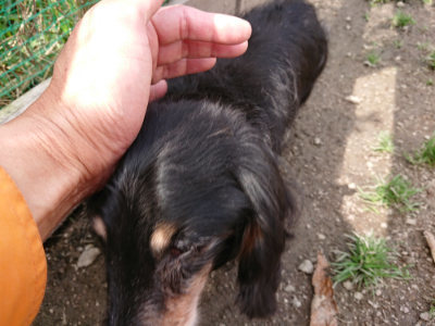 f:id:roukenhome-ann:20190324052655j:plain f:id:roukenhome-ann:20190324052655j:plain