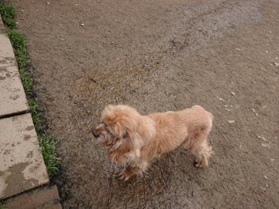 f:id:roukenhome-ann:20190324053121j:plain f:id:roukenhome-ann:20190324053121j:plain