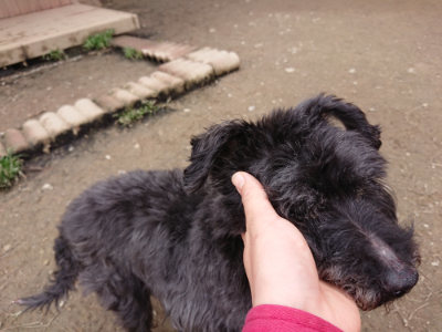 f:id:roukenhome-ann:20190324053136j:plain f:id:roukenhome-ann:20190324053136j:plain