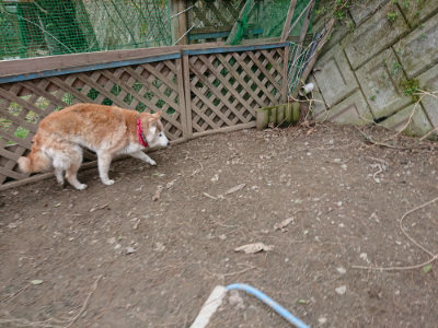 f:id:roukenhome-ann:20190326053042j:plain f:id:roukenhome-ann:20190326053042j:plain