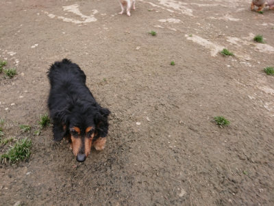 f:id:roukenhome-ann:20190326073120j:plain