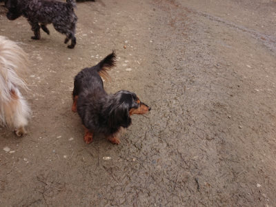 f:id:roukenhome-ann:20190326074649j:plain