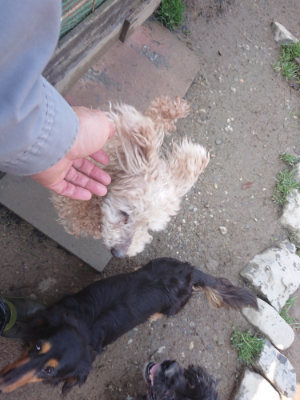 f:id:roukenhome-ann:20190328084447j:plain f:id:roukenhome-ann:20190328084447j:plain