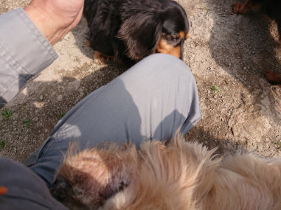 f:id:roukenhome-ann:20190330053313j:plain f:id:roukenhome-ann:20190330053313j:plain