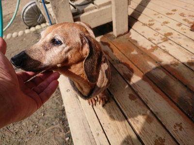 f:id:roukenhome-ann:20190330053856j:plain f:id:roukenhome-ann:20190330053856j:plain