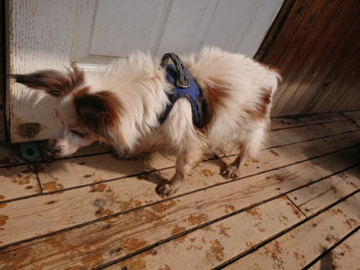 f:id:roukenhome-ann:20190330072809j:plain f:id:roukenhome-ann:20190330072809j:plain