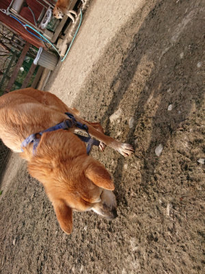 f:id:roukenhome-ann:20190330123218j:plain f:id:roukenhome-ann:20190330123218j:plain