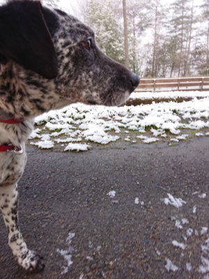 f:id:roukenhome-ann:20190402205109j:plain f:id:roukenhome-ann:20190402205109j:plain