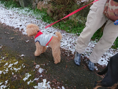 f:id:roukenhome-ann:20190402205541j:plain f:id:roukenhome-ann:20190402205541j:plain