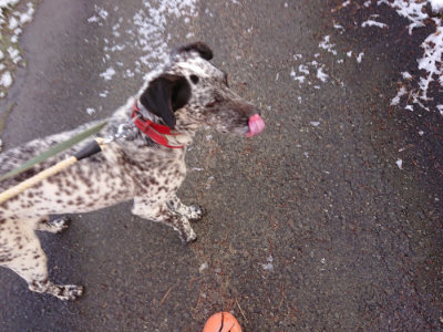 f:id:roukenhome-ann:20190402210109j:plain f:id:roukenhome-ann:20190402210109j:plain