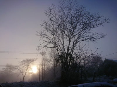 f:id:roukenhome-ann:20190402210122j:plain f:id:roukenhome-ann:20190402210122j:plain