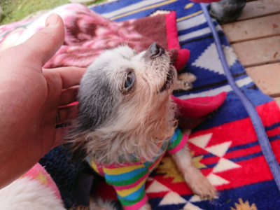 f:id:roukenhome-ann:20190403100823j:plain f:id:roukenhome-ann:20190403100823j:plain