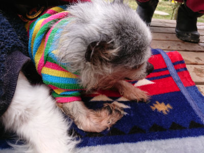 f:id:roukenhome-ann:20190403101320j:plain f:id:roukenhome-ann:20190403101320j:plain