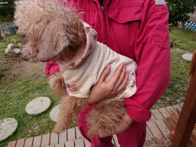 f:id:roukenhome-ann:20190403101332j:plain f:id:roukenhome-ann:20190403101332j:plain