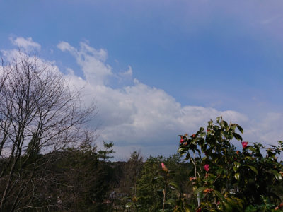 f:id:roukenhome-ann:20190403132659j:plain f:id:roukenhome-ann:20190403132659j:plain