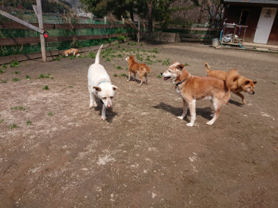f:id:roukenhome-ann:20190403132711j:plain f:id:roukenhome-ann:20190403132711j:plain