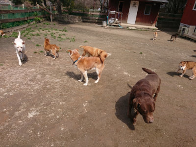 f:id:roukenhome-ann:20190403132717j:plain f:id:roukenhome-ann:20190403132717j:plain