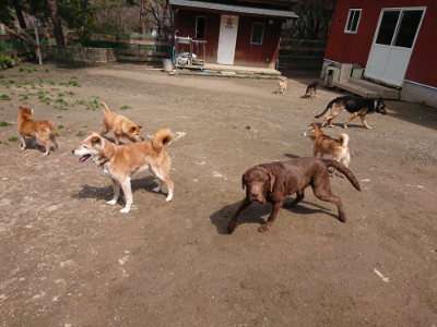 f:id:roukenhome-ann:20190403132730j:plain f:id:roukenhome-ann:20190403132730j:plain