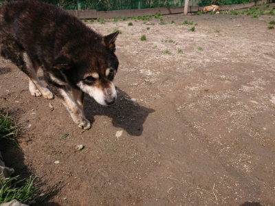 f:id:roukenhome-ann:20190403132747j:plain f:id:roukenhome-ann:20190403132747j:plain