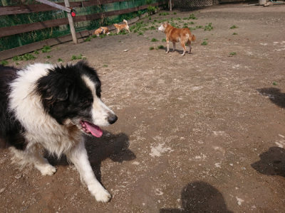f:id:roukenhome-ann:20190403132835j:plain f:id:roukenhome-ann:20190403132835j:plain