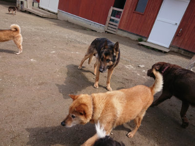 f:id:roukenhome-ann:20190403132852j:plain f:id:roukenhome-ann:20190403132852j:plain