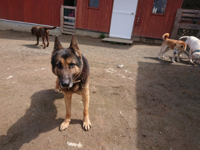 f:id:roukenhome-ann:20190403132951j:plain f:id:roukenhome-ann:20190403132951j:plain