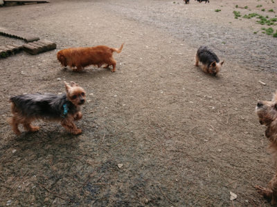 f:id:roukenhome-ann:20190403133027j:plain f:id:roukenhome-ann:20190403133027j:plain