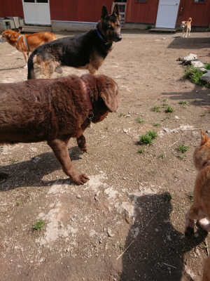 f:id:roukenhome-ann:20190403133054j:plain f:id:roukenhome-ann:20190403133054j:plain