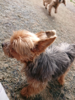 f:id:roukenhome-ann:20190403133059j:plain f:id:roukenhome-ann:20190403133059j:plain