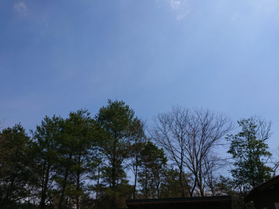 f:id:roukenhome-ann:20190403133125j:plain f:id:roukenhome-ann:20190403133125j:plain