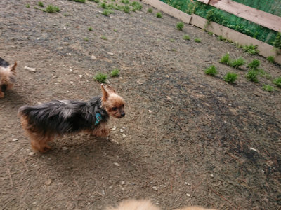f:id:roukenhome-ann:20190403133133j:plain f:id:roukenhome-ann:20190403133133j:plain
