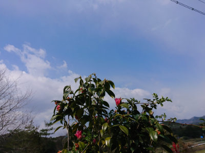 f:id:roukenhome-ann:20190403133157j:plain f:id:roukenhome-ann:20190403133157j:plain