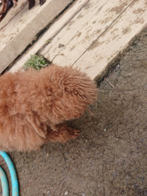 f:id:roukenhome-ann:20190403133800j:plain f:id:roukenhome-ann:20190403133800j:plain