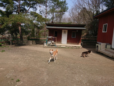 f:id:roukenhome-ann:20190403133835j:plain f:id:roukenhome-ann:20190403133835j:plain