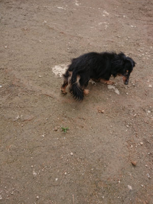 f:id:roukenhome-ann:20190403133908j:plain f:id:roukenhome-ann:20190403133908j:plain