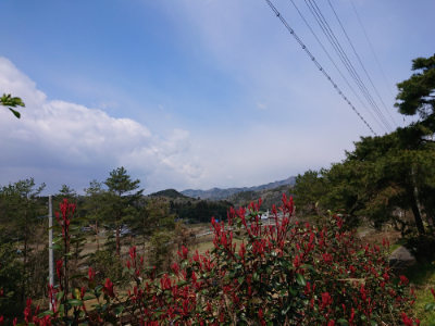 f:id:roukenhome-ann:20190403133925j:plain f:id:roukenhome-ann:20190403133925j:plain