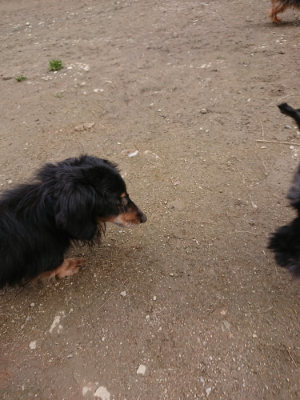 f:id:roukenhome-ann:20190403133938j:plain f:id:roukenhome-ann:20190403133938j:plain
