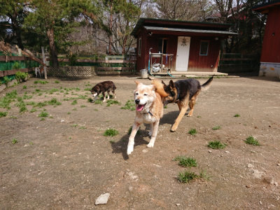 f:id:roukenhome-ann:20190403133952j:plain f:id:roukenhome-ann:20190403133952j:plain