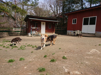 f:id:roukenhome-ann:20190403134028j:plain f:id:roukenhome-ann:20190403134028j:plain