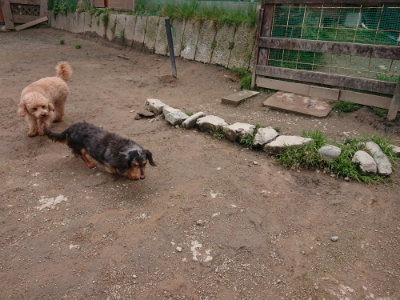 f:id:roukenhome-ann:20190403134141j:plain f:id:roukenhome-ann:20190403134141j:plain