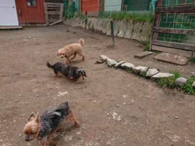 f:id:roukenhome-ann:20190403134202j:plain f:id:roukenhome-ann:20190403134202j:plain