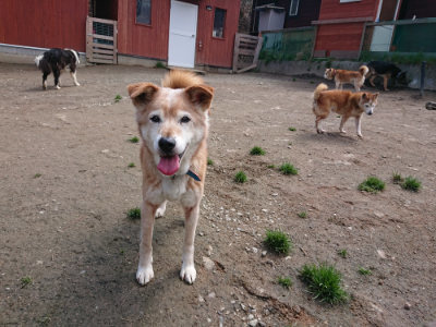 f:id:roukenhome-ann:20190403134219j:plain f:id:roukenhome-ann:20190403134219j:plain