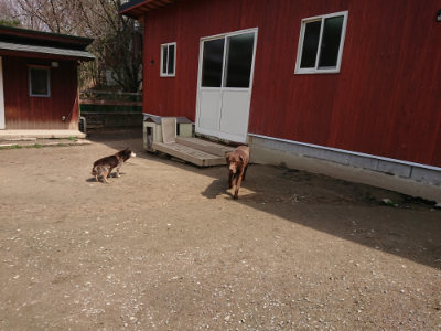 f:id:roukenhome-ann:20190403185140j:plain f:id:roukenhome-ann:20190403185140j:plain